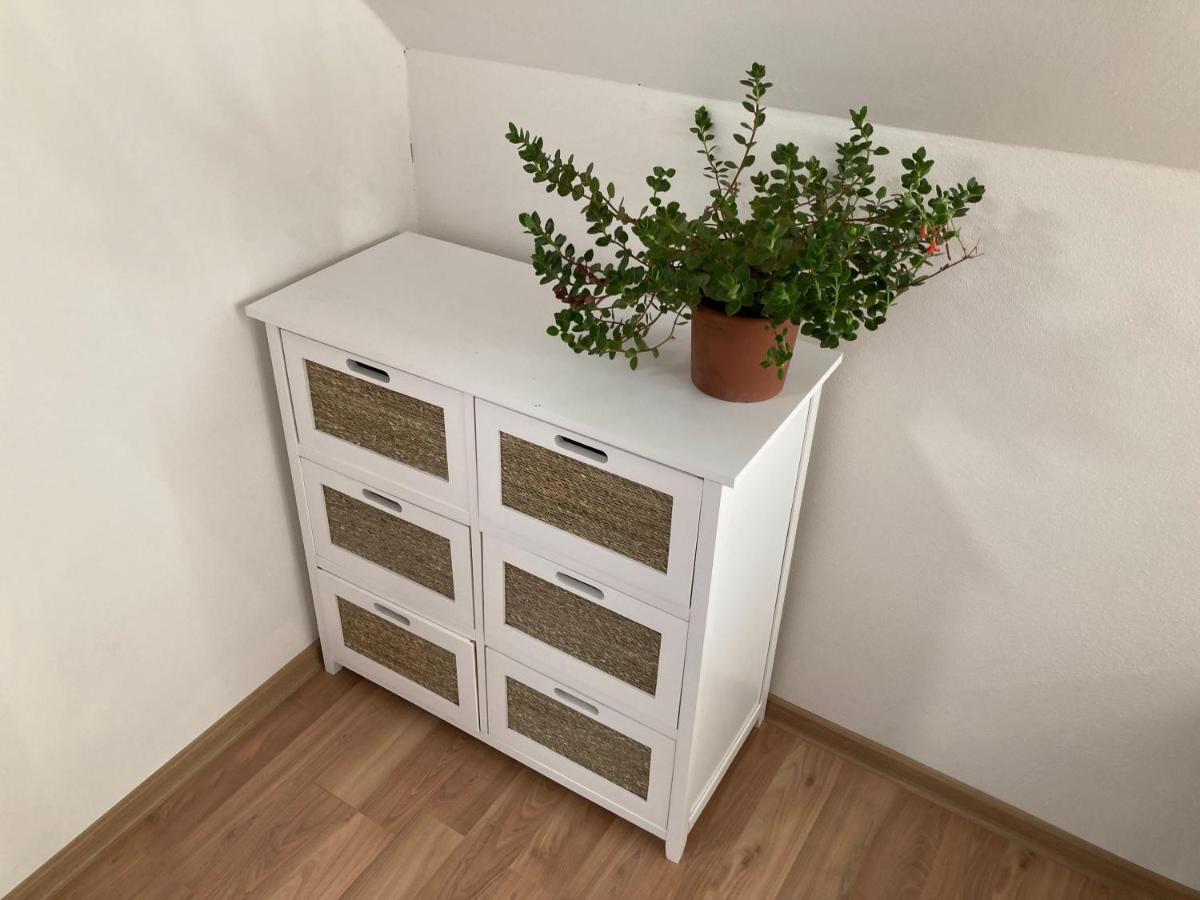 Apartmany U Reky Nezarky Lasenice Ngoại thất bức ảnh